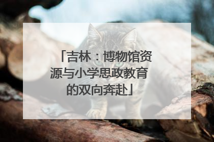 吉林：博物馆资源与小学思政教育的双向奔赴
