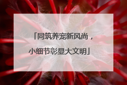 同筑养宠新风尚，小细节彰显大文明