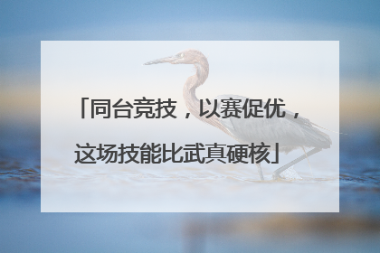 同台竞技，以赛促优，这场技能比武真硬核