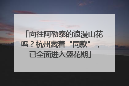 向往阿勒泰的浪漫山花吗？杭州藏着“同款”，已全面进入盛花期