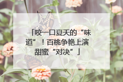 咬一口夏天的“味道”！百桃争艳上演甜蜜“对决”