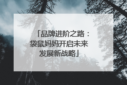 品牌进阶之路：袋鼠妈妈开启未来发展新战略