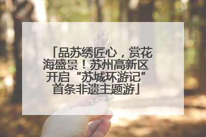 品苏绣匠心，赏花海盛景！苏州高新区开启“苏城环游记”首条非遗主题游