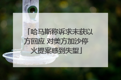 哈马斯称诉求未获以方回应 对美方加沙停火提案感到失望