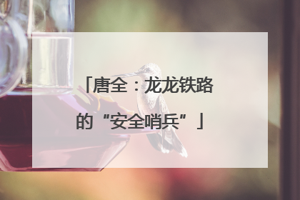 唐全：龙龙铁路的“安全哨兵”