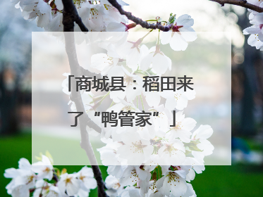 商城县：稻田来了“鸭管家”