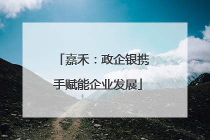 嘉禾：政企银携手赋能企业发展