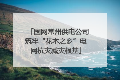 国网常州供电公司筑牢“花木之乡”电网抗灾减灾根基