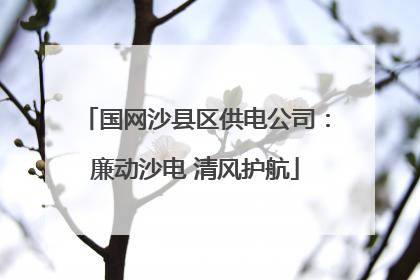 国网沙县区供电公司：廉动沙电 清风护航