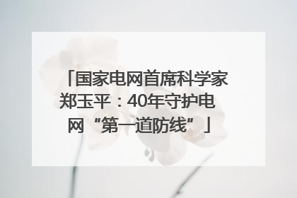 国家电网首席科学家郑玉平：40年守护电网“第一道防线”