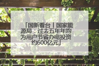 国新看台丨国家能源局：过去五年年均为用户节省办电投资约600亿元