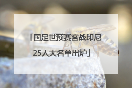 国足世预赛客战印尼25人大名单出炉