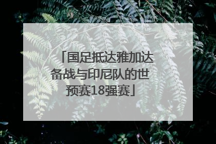 国足抵达雅加达备战与印尼队的世预赛18强赛