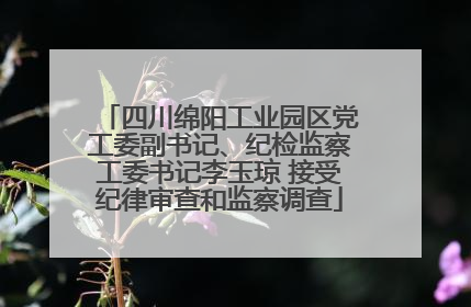 四川绵阳工业园区党工委副书记、纪检监察工委书记李玉琼 接受纪律审查和监察调查