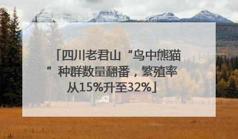 四川老君山“鸟中熊猫”种群数量翻番，繁殖率从15%升至32%
