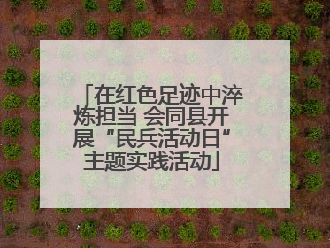 在红色足迹中淬炼担当 会同县开展“民兵活动日”主题实践活动