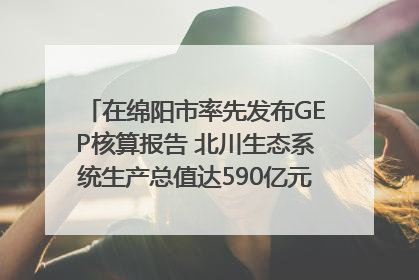 在绵阳市率先发布GEP核算报告 北川生态系统生产总值达590亿元｜新闻发布最前线