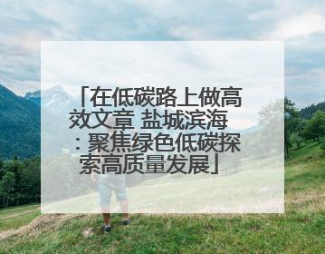 在低碳路上做高效文章 盐城滨海：聚焦绿色低碳探索高质量发展