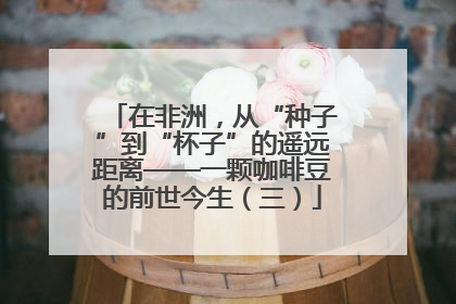 在非洲，从“种子”到“杯子”的遥远距离——一颗咖啡豆的前世今生（三）