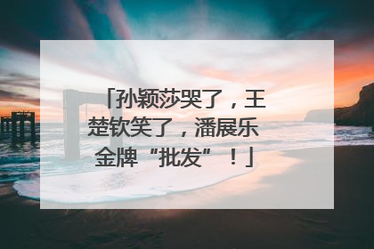 孙颖莎哭了，王楚钦笑了，潘展乐金牌“批发”！