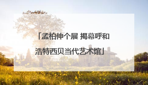 孟柏伸个展 揭幕呼和浩特西贝当代艺术馆
