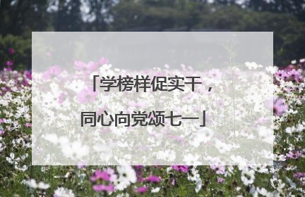 学榜样促实干，同心向党颂七一