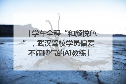 学车全程“和颜悦色”，武汉驾校学员偏爱不闹脾气的AI教练
