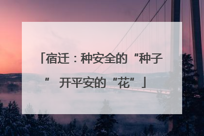 宿迁：种安全的“种子” 开平安的“花”