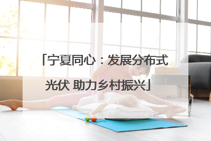 宁夏同心：发展分布式光伏 助力乡村振兴