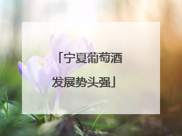 宁夏葡萄酒发展势头强