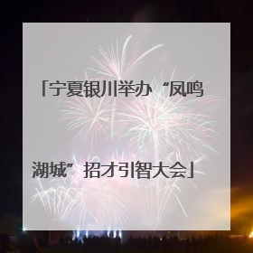 宁夏银川举办“凤鸣湖城”招才引智大会