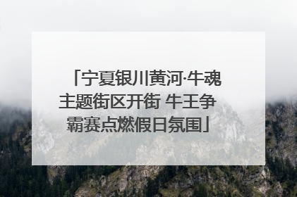 宁夏银川黄河·牛魂主题街区开街 牛王争霸赛点燃假日氛围