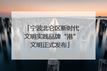 宁波北仑区新时代文明实践品牌“港”文明正式发布