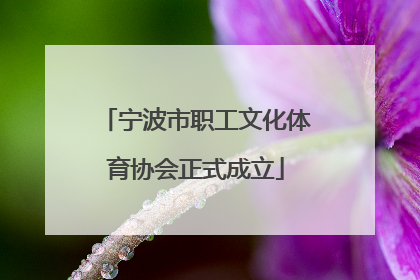 宁波市职工文化体育协会正式成立