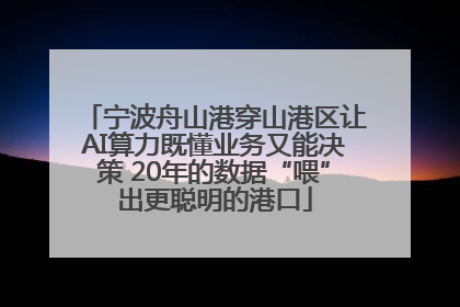 宁波舟山港穿山港区让AI算力既懂业务又能决策 20年的数据“喂”出更聪明的港口