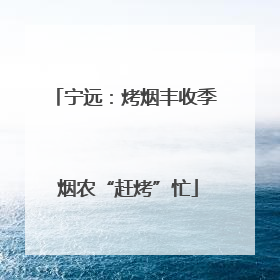 宁远：烤烟丰收季 烟农“赶烤”忙