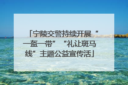 宁陵交警持续开展“一盔一带”“礼让斑马线”主题公益宣传活
