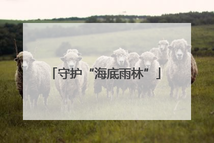 守护“海底雨林”