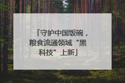 守护中国饭碗，粮食流通领域“黑科技”上新