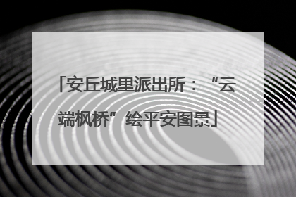 安丘城里派出所：“云端枫桥”绘平安图景