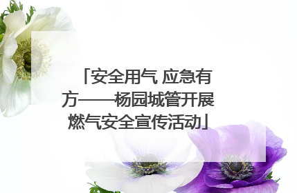 安全用气 应急有方——杨园城管开展燃气安全宣传活动