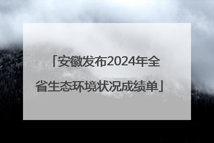 安徽发布2024年全省生态环境状况成绩单