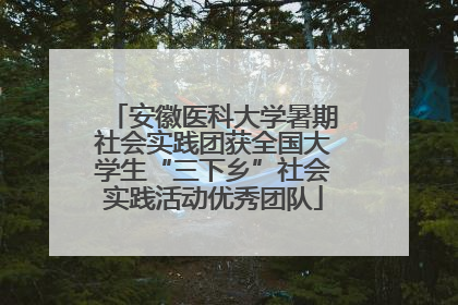 安徽医科大学暑期社会实践团获全国大学生“三下乡”社会实践活动优秀团队