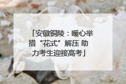 安徽铜陵：暖心举措“花式”解压 助力考生迎接高考