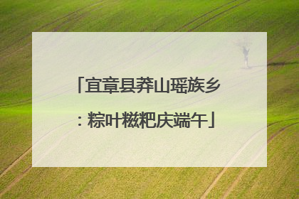 宜章县莽山瑶族乡：粽叶糍粑庆端午