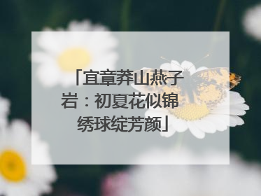 宜章莽山燕子岩：初夏花似锦 绣球绽芳颜