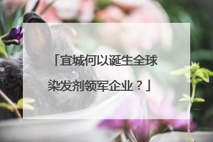宜城何以诞生全球染发剂领军企业？
