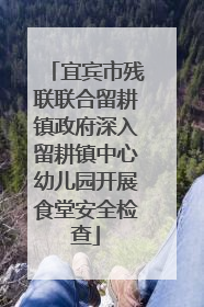 宜宾市残联联合留耕镇政府深入留耕镇中心幼儿园开展食堂安全检查