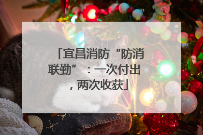 宜昌消防“防消联勤”：一次付出，两次收获