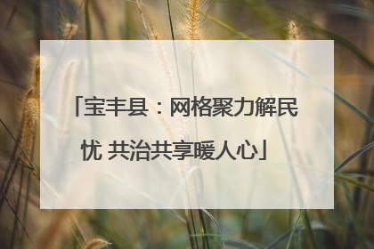 宝丰县：网格聚力解民忧 共治共享暖人心